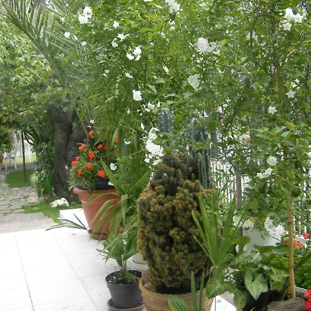 Guest house Sarokhaz 2*